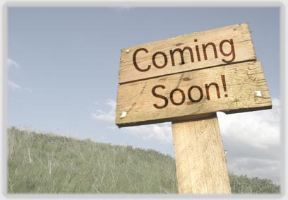 This article is coming soon
